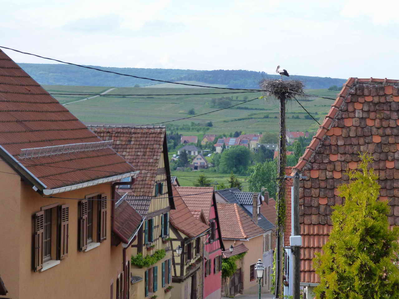 Rue du village Dangolsheim